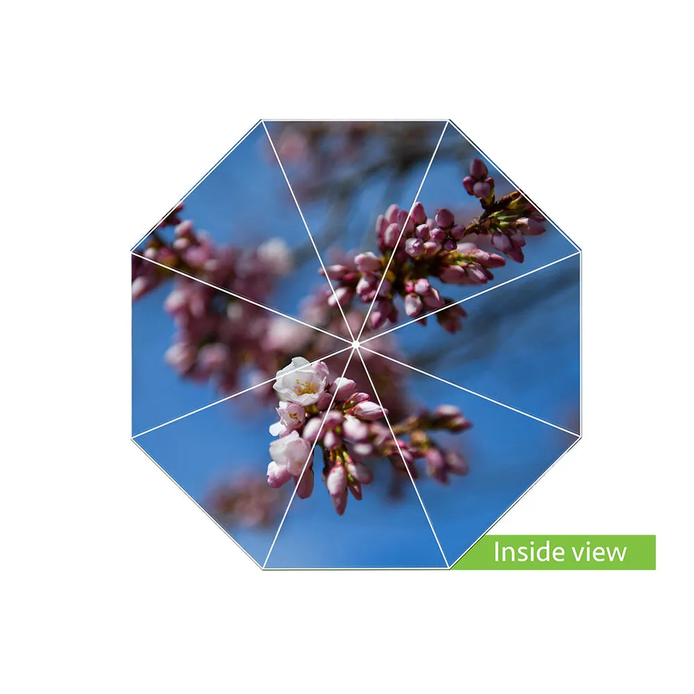 Cherry Blossom Umbrella